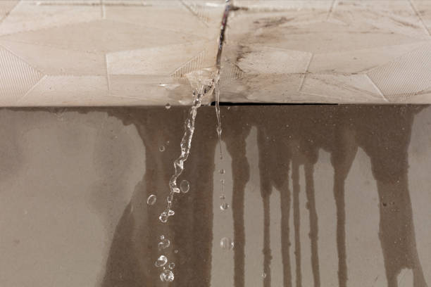 Professional Structural Drying technician working in Pinopolis, SC